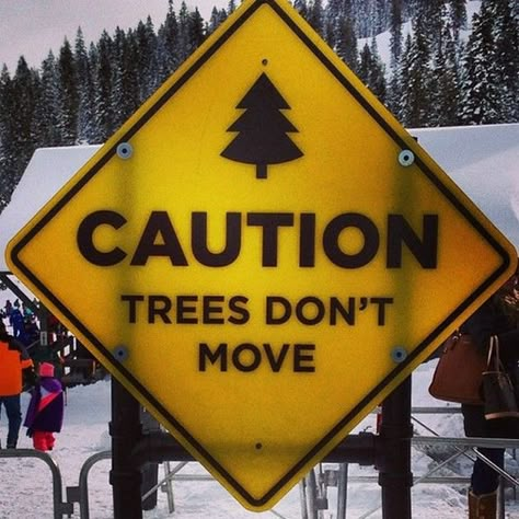 Ski Signs, Skiing Humor, Ski Racing, Snow Fun, Ski Season, Winter Love, Snow Sports, Snowboards, Ski Trip