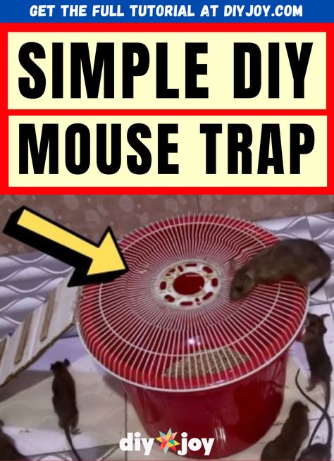 Diy Bucket Mouse Trap, Diy Mouse Trap, Mouse Trap Bucket, Electric Rat Trap, Mouse Trap Diy, Electric Mouse Trap, Diy Mouse, Pottery Barn Decor, Rat Traps