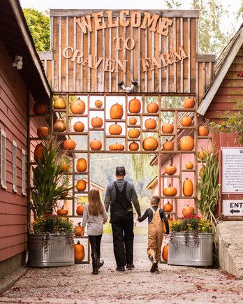 Fall Aesthetic Pictures, Pumpkin Patch Farm, Best Pumpkin Patches, Pumpkin Festival, Harvest Party, Fall Fest, Pumpkin Farm, Farm Stand, Best Pumpkin