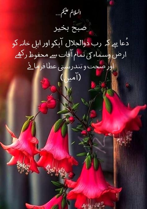 Subah Bakhair In Urdu Dua New, Islamic Good Morning, Good Morning Dua, Dua Morning, Subha Bakhair Dua In Urdu, Dua Images, Sweet Good Morning Images, Subha Bakhair, Subah Bakhair