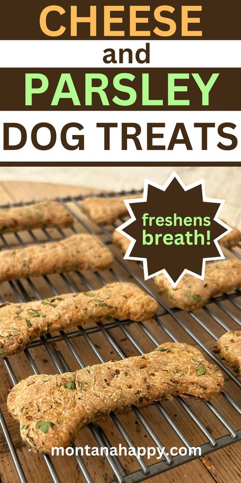 Pin for Pinterest - Cheese and Parsley Dog Treats Recipe Parsley Dog Treats, Home Made Dog Treats Recipe, Dog Breath Treats, Benefits Of Parsley, Puppy Recipes, Home Made Dog Treats, Baby Treats, Dog Treats Homemade, Dog Treats Recipe