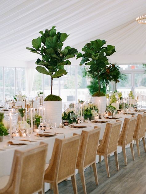 Potted Plant Centerpieces, Hydrangea Potted, Plant Centerpieces, Georgia Peaches, Black And White Wedding Theme, Wedding Plants, Plant Style, Style Aesthetics, Eco Wedding