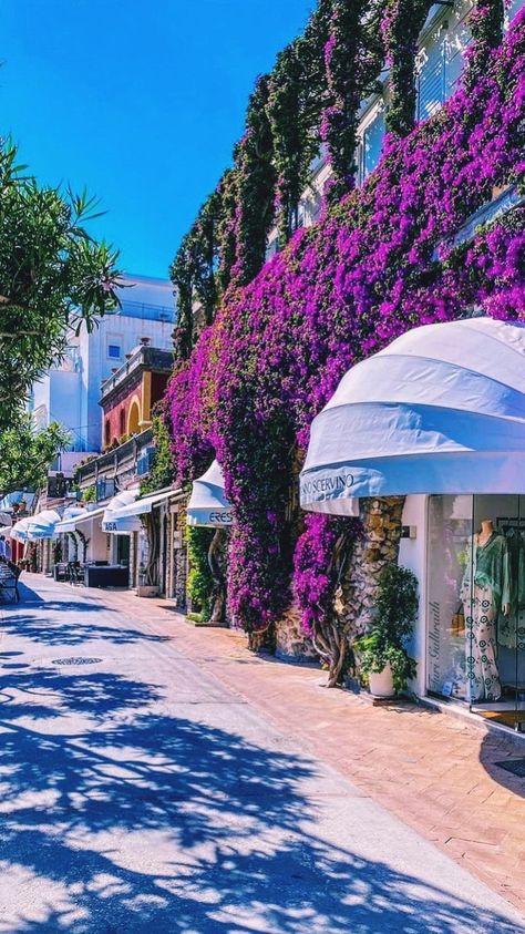 Capri Italia, Italy Coast, Capri Island, Campania Italy, Italian Lifestyle, Italy Landscape, Italian Life, Capri Italy, Holiday Places