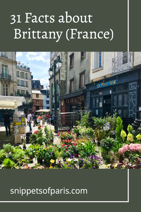 Get the facts about Brittany (Bretagne), the western-most region in France. With interesting facts, weird and quirky facts, facts for kids, and more. Facts About France, Paris History, Little Britain, Fresh Oysters, William The Conqueror, Brittany France, Facts For Kids, French Culture, French Revolution