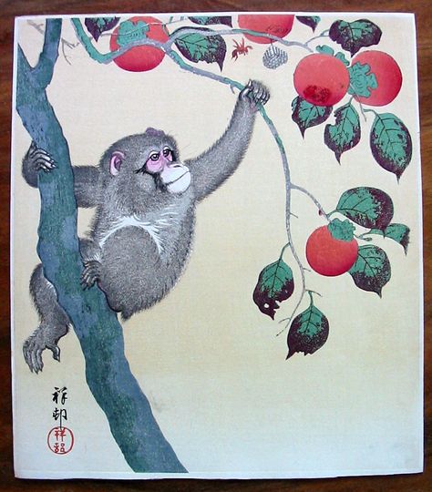 OHARA KOSON - monkey in a persimmon tree Japanese Monkey, Japanese Reference, Persimmon Tree, Monkey Illustration, Woodblock Printing, Ohara Koson, Monkey Art, Japon Illustration, Japanese Tattoo Art