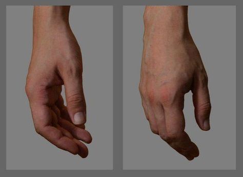 Relaxed Hand Drawing, Hand Resting At Side Reference, Relaxed Hand Drawing Reference, Neutral Standing Pose Reference Drawing, Relaxed Poses Reference, Anatomy Simplified, Relaxed Hand, Human Anatomy Reference, Hand Anatomy