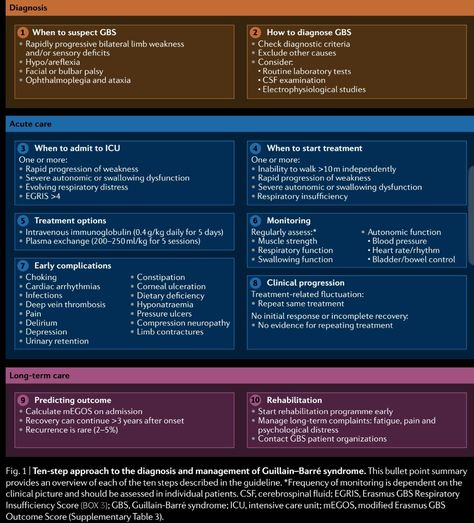 Gullian Barre Syndrome, Gillian Barre Syndrome, Gbs Syndrome, Guillain Barre, Guillain Barre Syndrome, Medical Notes, The Peripheral, Autoimmune Disorders, Nursing School Essential