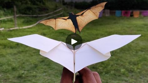 Origami Airplane, Paper Bat, Paper Planes, Make Paper, Paper Plane, How To Make Paper, Cool Design, Origami, Bat