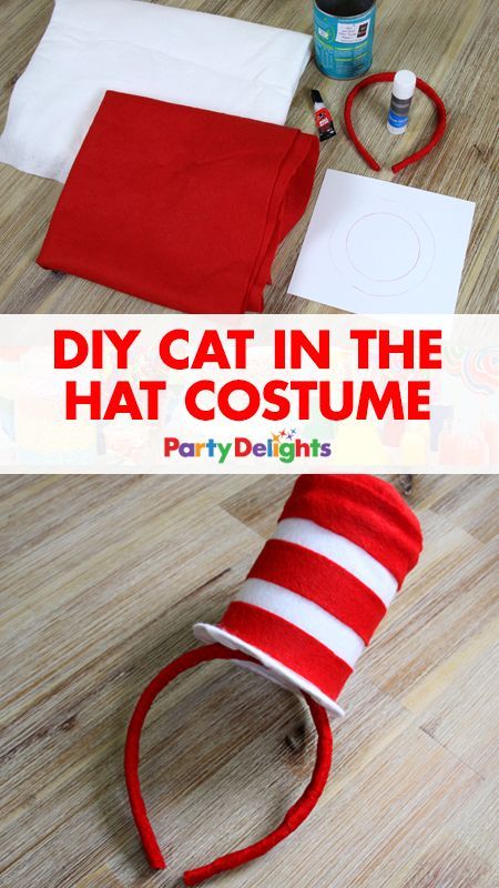 30+ DIY Halloween Costumes 2017 Dr Seuss Diy Costumes, Dr. Seuss Costumes, Cat In The Hat Costume, Dr Seuss Costumes, World Book Day Costume, World Book Day Ideas, Dr Seuss Hat, Meme Costume, Book Character Day