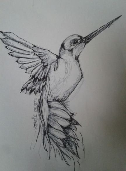 Bird Drawings Sketches, Hummingbird Drawing Sketches Pencil, Animal Tattoo Sketch, Sketches For Watercolor Painting, Pencil Art Drawings Birds, Birds Sketches Pencil, Animal Drawings Sketches Pencil, Hummingbird Drawing Sketches, Pencil Art Drawings Animals