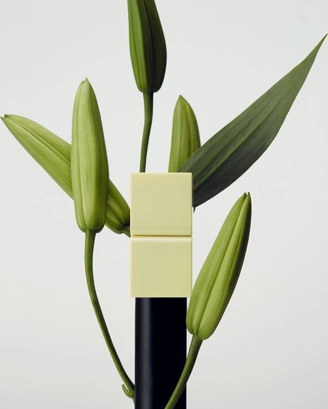 Jordy Kuster - Photo by TAMBURINS 탬버린즈 on December 05, 2022. – SAVEE Tamburins Perfume, Tulip Leaves, Perfume Balm, Perfume Bottle Design, Candles Photography, Cosmetics Photography, Beauty Products Photography, White Tulips, First Name