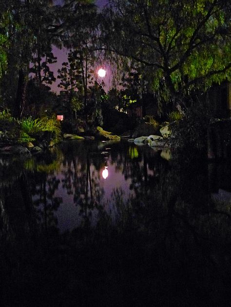 New Orleans Aesthetic Night, New Orleans At Night, Night Aesthetic Nature, Pond At Night, New Orleans Aesthetic, New Orleans Night, Alligator Meat, Southern Nights, The Master And Margarita