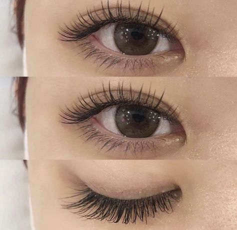 Lashing Techniques, Eye Lashes Extensions, Natural Fake Eyelashes, Evening Eye Makeup, Bentuk Alis, Lashes Extensions, Eyelash Extensions Styles, Beginners Eye Makeup, Perfect Eyelashes