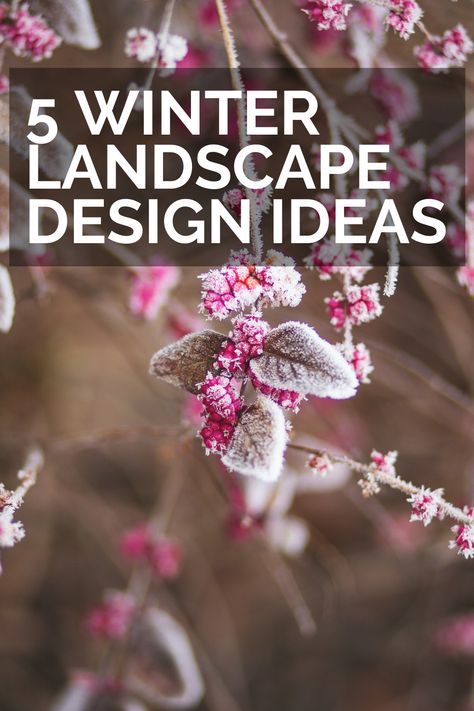 The cold, snowy winter season doesn’t have to mean saying goodbye to the beauty of your yard. In fact, there are a few simple ways to add color and texture to your landscape. Enjoy the unique beauty at your fingertips this winter season with the following tips from our landscape design team in Salt Lake City, Utah. Landscape Design Ideas, Landscape Designers, Snowy Winter, Salt Lake City Utah, Saying Goodbye, Unique Beauty, Winter Landscape, Backyard Ideas, Lake City