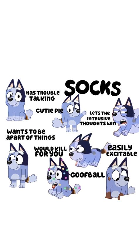 Socks From Bluey Wallpaper, Socks From Bluey, Bingo Pictures, Bingo Quotes, Bingo Books, Fun Sleepover Games, Blue Da Ba Dee, Bingo Funny, Bluey Family