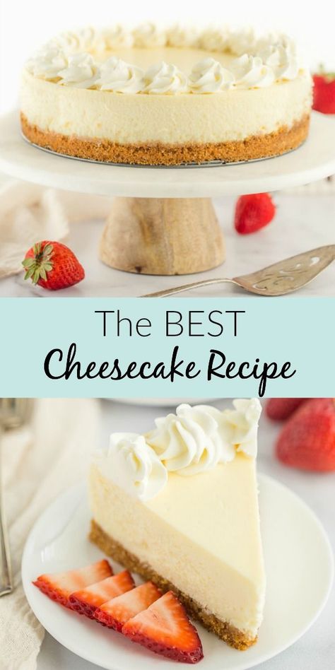 This Classic Cheesecake Recipe is super smooth, creamy, and topped on a homemade graham cracker crust. This post also includes a lot of helpful tips to get the perfect cheesecake every single time, plus different topping options to really make this recipe your own! #cheesecake #recipe #dessert #classic Fun Cheesecake Recipes, The Perfect Cheesecake, Homemade Graham Cracker, Perfect Cheesecake, Cheesecake Desserts Recipes, Delicious Cheesecake Recipes, The Best Cheesecake, Easy Party Desserts, Homemade Graham Cracker Crust