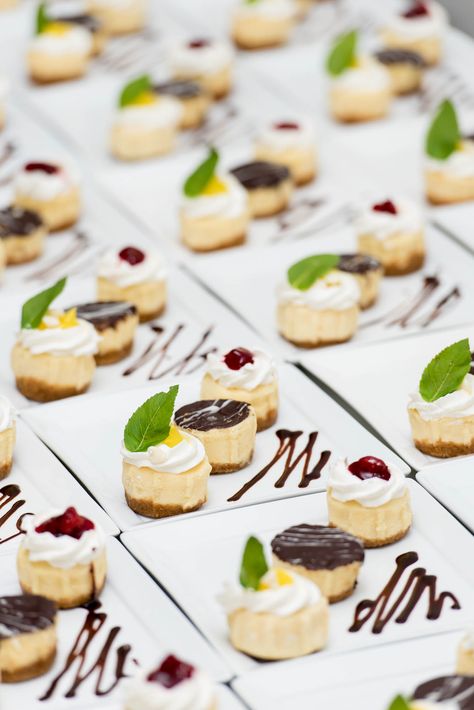 Plated trio of mini NY cheesecakes for plated wedding dessert. Dessert Tasting Plate, Individual Christmas Desserts, Easy Mini Desserts Recipes, Plating Dessert, Trio Of Desserts, Mini Dessert Recipes, Hotel Buffet, Dessert Presentation, Individual Desserts