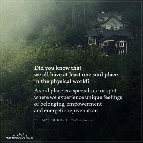 Did you know that we all have at least one soul place in the physical world? Wild Women Sisterhood, Place Quotes, Mindfulness Journal, Soul Quotes, Wild Woman, Spiritual Awareness, Spiritual Wisdom, Psychology Facts, Inspirational Quote