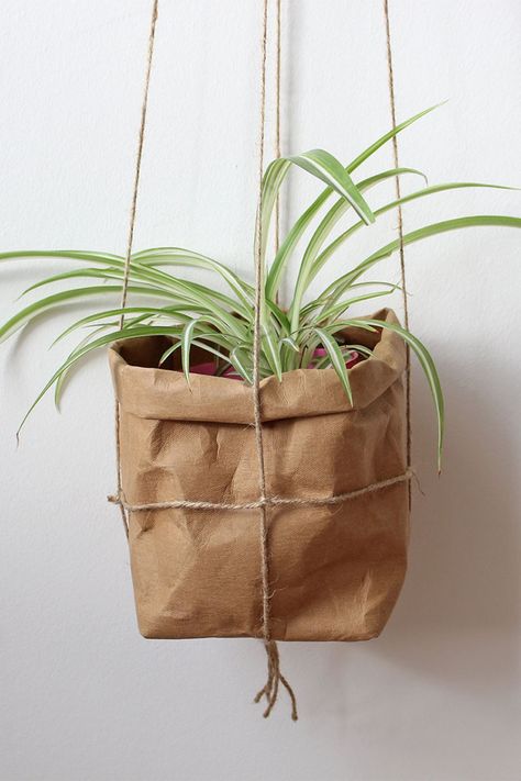 Infant Classroom, Plantable Paper, Planter Bags, Diy Textiles, Washable Paper, Cellulose Fiber, Brown Paper Bag, Hanging Planter, Reusable Shopping Bags