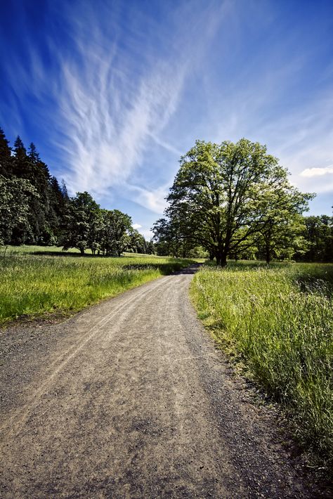 Country Landscape Photography, Dirt Roads, Country Landscape, Beautiful Roads, Country Roads Take Me Home, Texas Girl, Country Landscaping, Bike Riding, Country Scenes