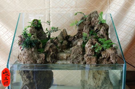 Miniscaping: cascading waterfall by Liao landscape Paludarium Waterfall, Unique Fish Tanks, Plants In Jars, Aquascape Design, Fish Tank Design, Cascading Waterfall, Aquarium Landscape, Turtle Tank, Aquascape Aquarium