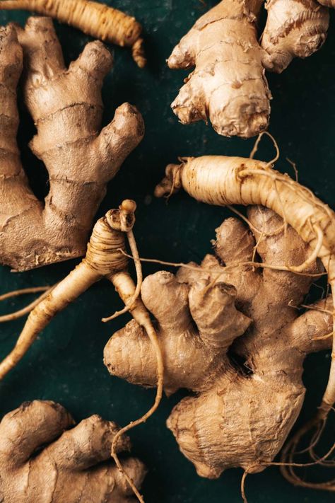 Ginseng Plant, How To Relieve Nausea, Health Benefits Of Ginger, Ginger Plant, Ginger Benefits, Improve Energy Levels, Candied Ginger, Improve Brain Function, Curry Dishes