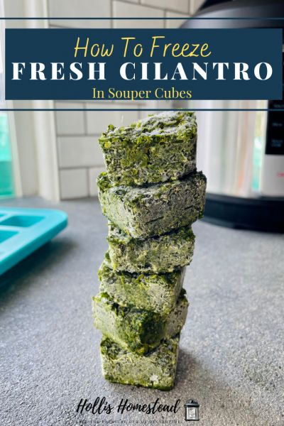 How to freeze fresh cilantro in Souper Cube freezer trays Freezing Cilantro How To, Frozen Herb Cubes, How To Freeze Cilantro, What To Do With Cilantro, How To Freeze Dill, Souper Cubes Recipes, Preserve Cilantro, Freeze Cilantro, Freeze Herbs