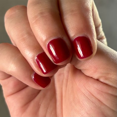 Dnd Gel Polish Christmas Colors, Wineberry Dnd, Dnd Red Gel Polish Christmas, Dnd 754 Winter Berry, Dnd 752 Winter Wine, Dnd Winter Nail Colors, Dnd Gel Polish Colors Winter 2023, Dnd Winter Berry, Dnd Wineberry Gel Polish