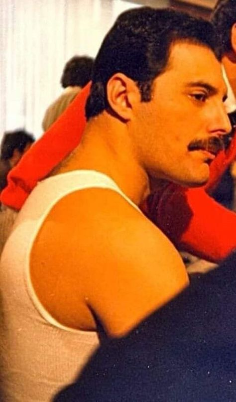 Remo Song, Freddie My Love, Mr Fahrenheit, Mr Bad, Mexican Street Food, Freddy Mercury, Sweet Lover, Queen Freddie Mercury, Mexican Street