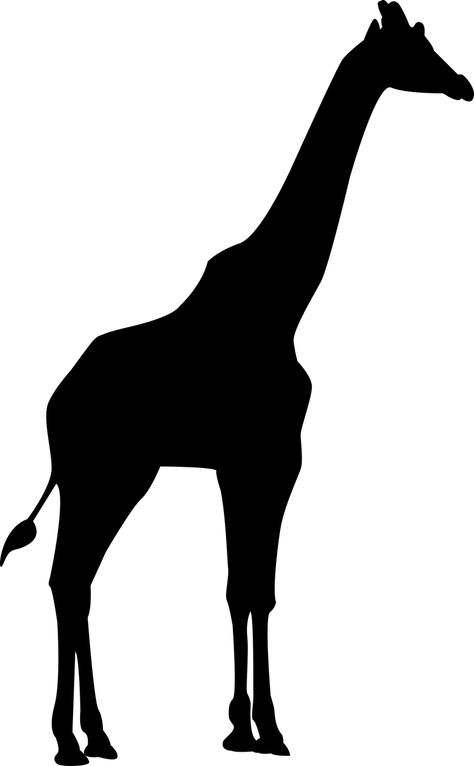 Giraffe Silhouette, Giraffe Safari, Afrique Art, Animal Silhouette, Image Icon, Silhouette Free, Silhouette Art, Dog Stickers, Safari Animals