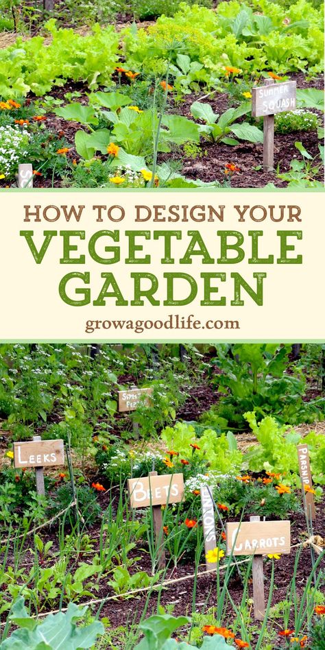 Vegetable Garden Layout Design, Veg Patch, Vegetable Garden Tips, Small Vegetable Gardens, Garden Layout Vegetable, Vegetable Garden Planning, Starting A Vegetable Garden, Garden Plots, Grow Vegetables