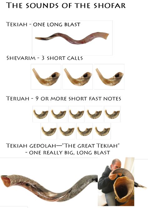 The Sounds of the Shofar [joyfulljewish.wordpress.com] Yom Teruah, Jewish Feasts, Feasts Of The Lord, Messianic Judaism, Hebrew School, Hebrew Language, Learn Hebrew, Rosh Hashana, Yom Kippur