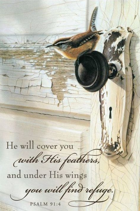 Psalm 91:4 (NIV) - He will cover you with His feathers,    and under His wings you will find refuge;    His faithfulness will be your shield and rampart. Love Birds Quotes, Condolences Quotes, Quotes Bible Verses, Psalm 91 4, Sympathy Messages, Under His Wings, Sympathy Quotes, Bird Quotes, Quotes Bible