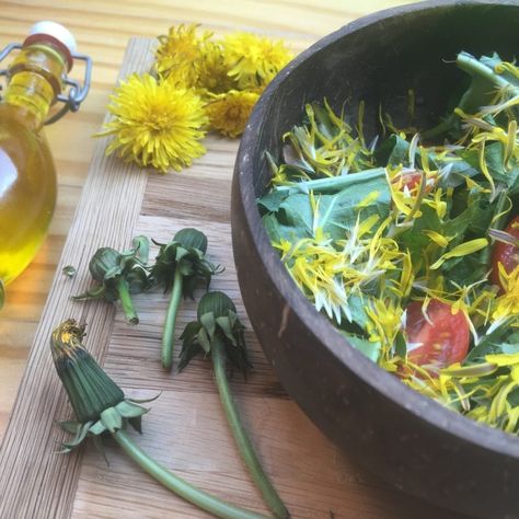 Dandelion Greens, Harvest Dandelion, Dandelion Harvesting, Eating Dandelion Flowers, Dandelion Salad, Foraging Dandelions, Dandelion Leaves, Dandelion Flower, Delivery Groceries