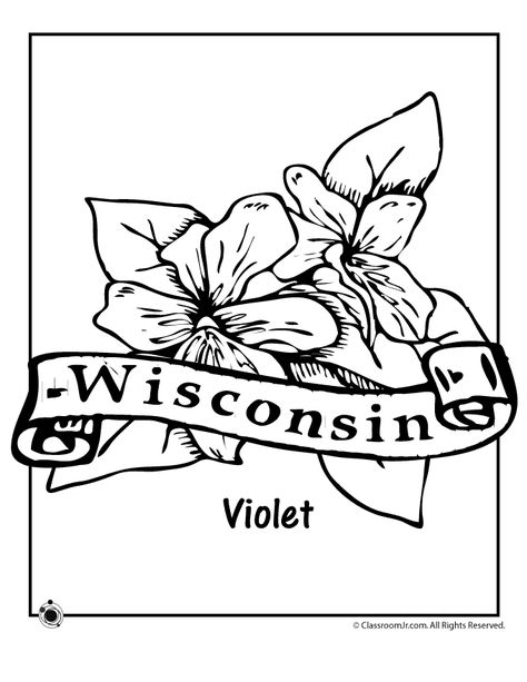 Wisconsin State Flower Coloring Page Wisconsin State Flower, Teacher Worksheets Lesson Plans, Letter A Coloring Pages, Printable Flower Coloring Pages, Social Studies Notebook, 13 Colonies, American History Lessons, Homeschool Social Studies, Coloring Pages Inspirational