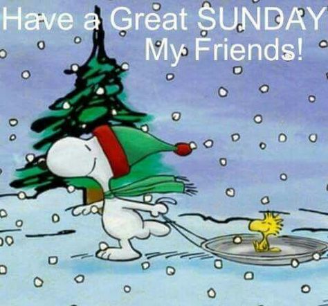 Have A Great Sunday My Friends! Woodstock Snoopy, Peanuts Cartoon, Swing Dancing, Snoopy Quotes, Peanuts Christmas, Snoopy Pictures, Snoopy Love, Charlie Brown Christmas, Snoopy Christmas