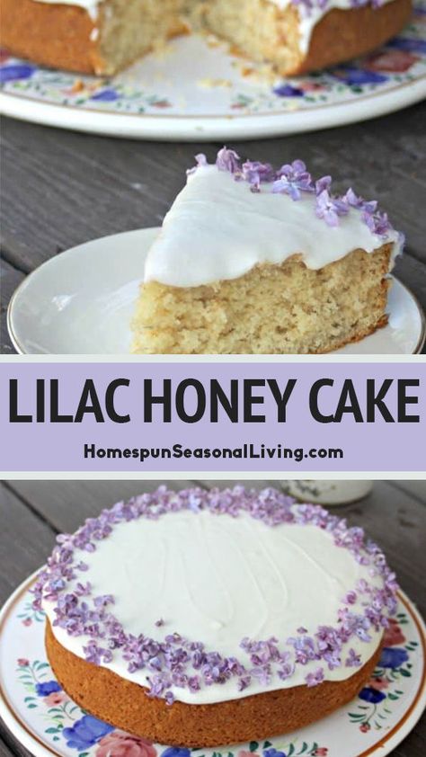 Use the beautiful, fragrant flowers of spring in this delicious and easy lilac honey cake. Cottagecore Cooking, Lilac Honey, Spring Recipes Vegetarian, Cottagecore Recipes, Cottagecore Food, Spring Recipes Dessert, Kitchen Witch Recipes, Lavender Recipes, Spring Baking