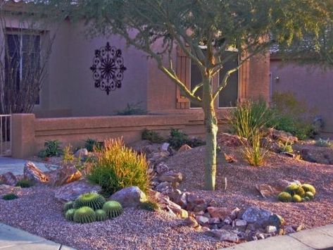 Desert theme front yard Desert Front Yard, Desert Landscaping Ideas, Ideas For Front Yard, Xeriscape Landscaping, Front Yard Landscape, Desert Theme, Arizona Landscape, Drought Tolerant Landscape, Small Front Yard