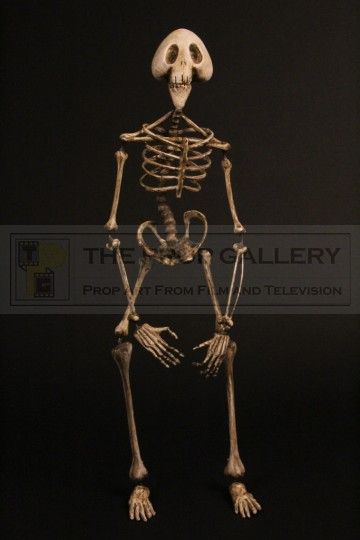 The Prop Gallery | Skeleton stand in puppet Corpse Bride Skeleton, Skeleton Stand, Skeleton Project, Skeleton Puppet, Skeleton Sculpture, Human Puppet, Directed By Tim Burton, Art Projects For School, Skeleton Girl