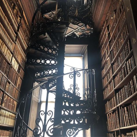 Hill House Aesthetic, Norse Myth, Library Aesthetic, House Aesthetic, Trials Of Apollo, Kane Chronicles, Promised Land, Damian Wayne, A Series Of Unfortunate Events