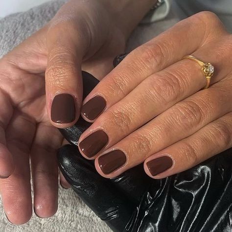 Brown Fall Manicure, Shades Of Brown Gel Nails, Fall Color Manicure, Gel Nails Ideas Short Brown, Short Squoval Nails Brown, Squoval Brown Nails, Brown Mani Pedi, Call Brown Nails, Dark Brown Manicure