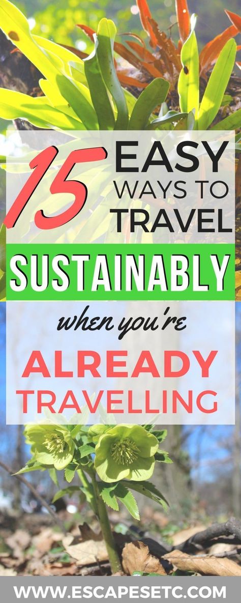 Do you want to learn how you can travel in a more eco-friendly way? Here are 15 easy sustainable travel tips that you can use even if you're already travelling. #sustainabletravel #ecotourism #traveltips #earthday Ethical Travel, Responsible Tourism, Eco Travel, Green Travel, Sustainable Tourism, Slow Travel, Eco Friendly Travel, Sustainable Travel, Small Changes