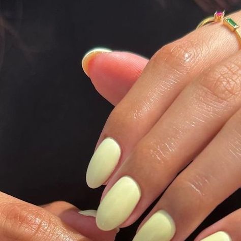 Light Yellow Pedicure, Short Pastel Yellow Nails, Baby Yellow Nails Acrylic, Light Yellow Short Nails, Pale Yellow Almond Nails, Oval Nails Yellow, Pastel Yellow Almond Nails, Milky Yellow Nails, Yellow Oval Nails