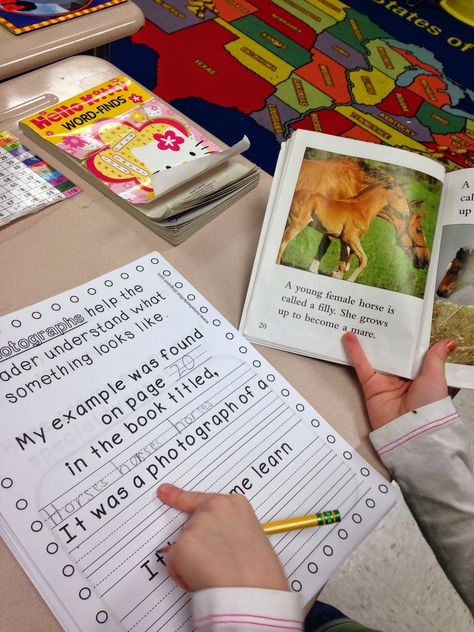 Elements of Non-fiction Fiction Vs Nonfiction, Text Features Activities, Grade 1 Reading, Non Fiction Writing, Nonfiction Text Features, 1st Grade Writing, First Grade Writing, Nonfiction Writing, Nonfiction Reading