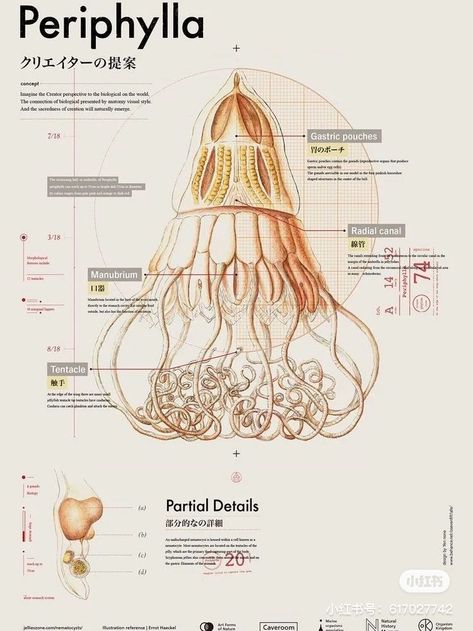 Scientific Poster Design, Biology Poster, Scientific Poster, Infographic Inspiration, Logo Design Inspiration Creative, Data Visualization Design, Science Illustration, Data Design, Infographic Design Inspiration