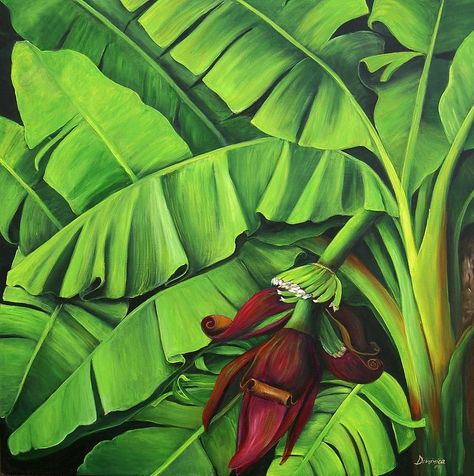 Dominica Alcantara | Banana Tree Flower Painting Banana, Banana Trees, Banana Plant, Tropical Painting, Banana Flower, Caribbean Art, Hawaiian Art, Banana Tree, Plant Painting