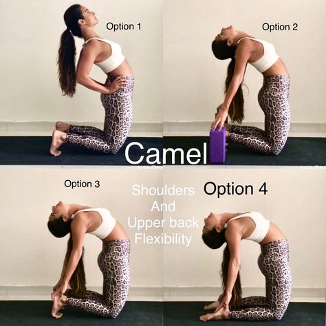 Camel Pose Yoga, Night Yoga, Back Flexibility, Different Types Of Yoga, Camel Pose, Yoga Design, Yoga Moves, Bikram Yoga, Yoga Help