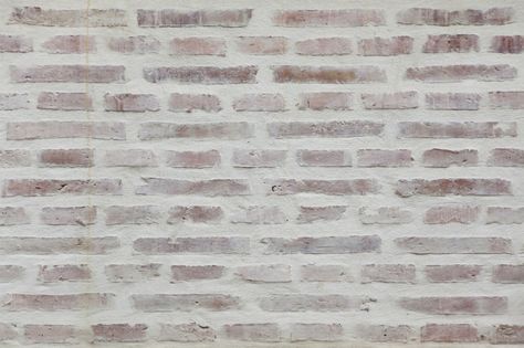 How to Whitewash Brick White Wash Brick Exterior, Whitewash Brick, White Wash Fireplace, Wall Siding, White Wash Brick Fireplace, Brick Wall Decor, Painted Bricks, Fireplace Redo, White Brick Wall