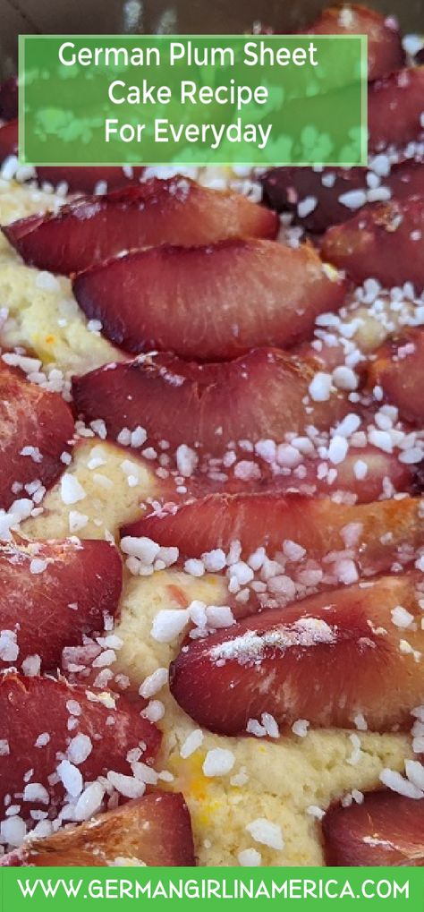 German Plum Sheet Cake, Plum Sheet Cake, German Plum Cake Recipe, Fruit Sheet Cake, German Plum Cake, German Dessert, German Things, Food Authentic, German Food Authentic