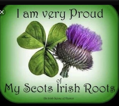 Scottish Thistle Tattoo, Scottish Tattoos, Scottish Quotes, Irish Ancestry, Scotland History, Irish Tattoos, Scottish Ancestry, Scotland Forever, Burns Night